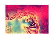 The Disease Susceptibility Genetic Test-Colorectal Cancer