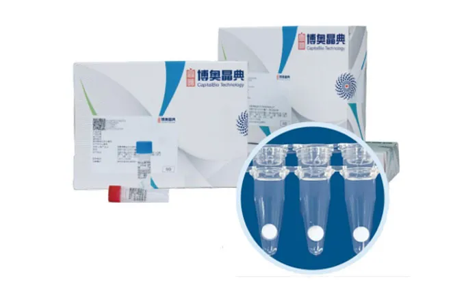 Six Respiratory Viruses Nucleic Acid Test Kit (PCR-Melting Curve Method)